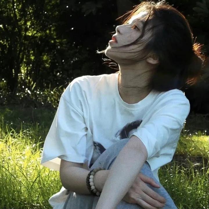 星际狗狗